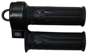 throttle with parking switch